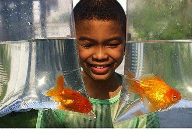 《崩坏：星穹铁道》动画短片：「清闲自在身」